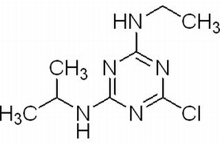 植物激素及核酸類