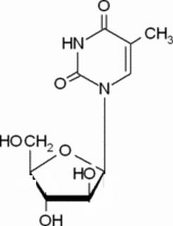 植物激素及核酸類