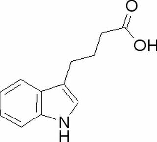 植物激素及核酸類