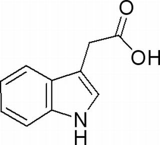 植物激素及核酸類