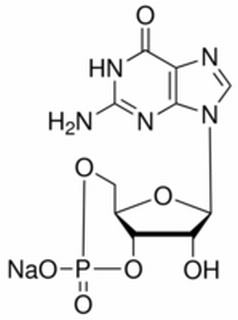 植物激素及核酸類